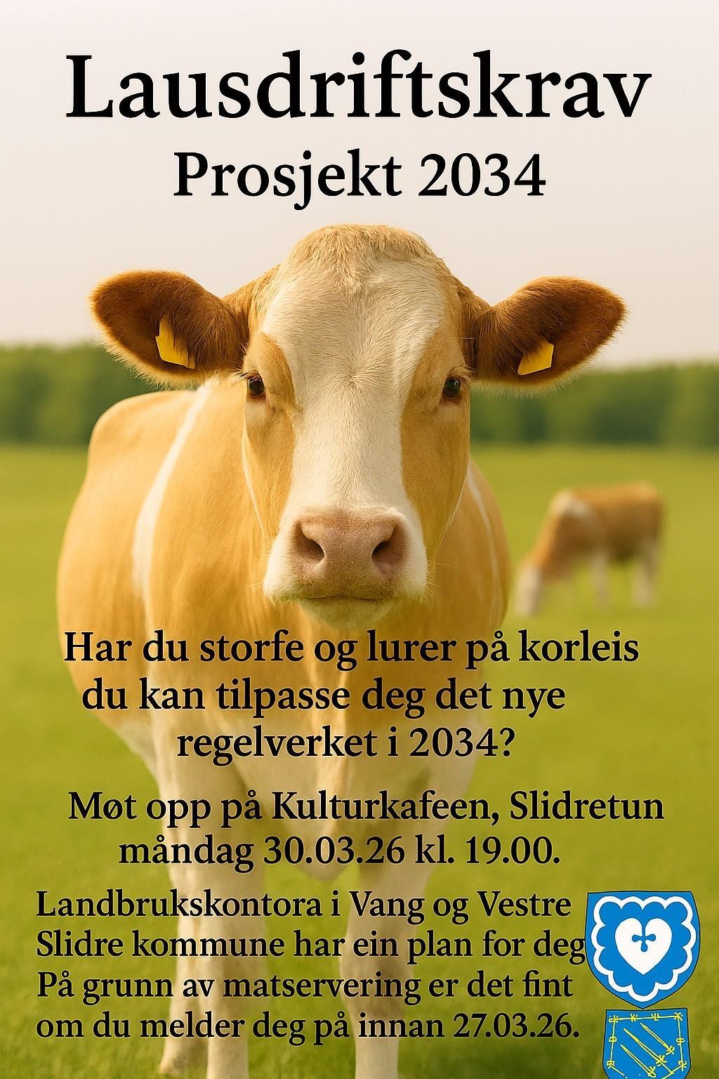 Plakat informasjon om lausdriftskrav - Klikk for stort bilete